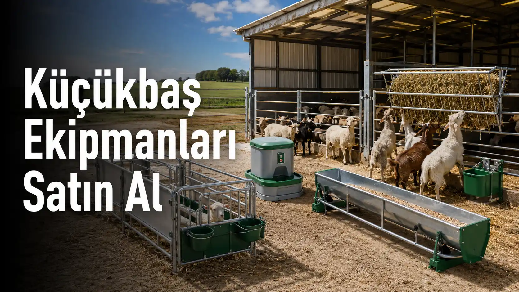 Küçükbaş Ekipmanları Satın Al